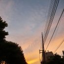 뚝섬한강공원-68 이미지