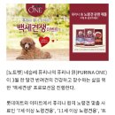 백세견생