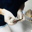 서울시야생동물센터 이미지