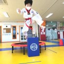 점핑킥태권도장