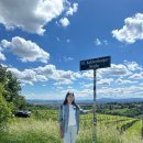 상궁농장 이미지