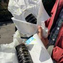 당동슈퍼 | [36주 임산부 에버랜드 나들이] 주말 워킹 사파리, 튤립 축제 데이트 후기