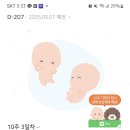 플로라여성의원 | 둥이임신)10주2일차_하혈(플로라여성의원 후기 포함)