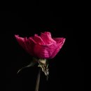 그림책이야기나라 이미지