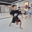 경희대 라이온 태권도 이미지