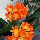 개금시영아파트 이미지