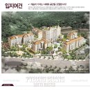 로잔롯데강남 이미지