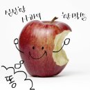 영하개 | 영하(英河)