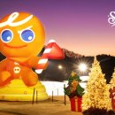 곰PC라운지 이미지