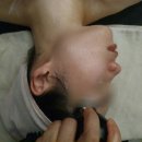 하라네이처 이미지