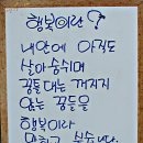 등서초등학교 이미지