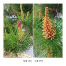 방아섬 | [공지] 경남 청정지역 하동 1주일 살기 체험 후기