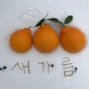 새가름 이미지