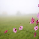 냇강마을 | 1편. 가을농촌 한달살기 (강원 인제 냇강마을) 완전 가이드( 1편 )