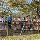 행복한아이들어린이집 이미지