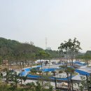 패밀리파크 물놀이시설(수영장) 티스토리