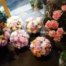 라플로르 이미지