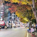 하이밀분식 | [블챌] 주간일기 챌린지 19 - 11월 첫번째 주간일기