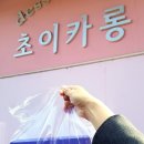 초이카롱 네이버블로그