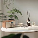 캠핑 스피커 추천, 브리츠 블루투스 스피커 BZ-TBUTTON