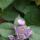 수정세탁소 이미지