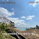GS25 보령죽정점 | 보령 죽도 상화원 한국 정원의 깊은 멋과 쉼이 있는 섬 산책