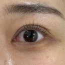 월드피아상가 | 장유속눈썹펌 전문 <제이뷰> 1대1 맞춤 컬 디자인 만족후기