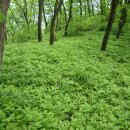 인동농업협동조합주유소 이미지