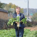 동양비료㈜ 이미지