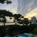 파라다이스호텔 이미지