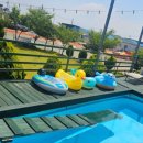 사랑애견펜션 이미지