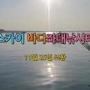 스카이 좌대낚시터 이미지