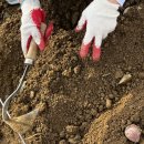 원예생활지도사 | 용인시 도시농업관리사 [2025년 하반기 선정부터 수료까지의 기록]