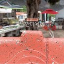 낭만다육이 - 원주시 영랑길 127-17 | 낭만다육이