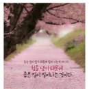 해울 Daum카페