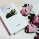 산들바람 이미지