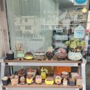 완도즉석김 이미지