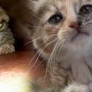 두봉농장 이미지