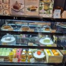 다트나인 이미지