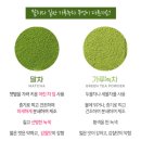 티젠 녹차공장 이미지