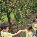 서구그린어린이집 이미지