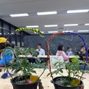 영통도서관 강의실 | 수원 야간데이트 명소 수원수목원 야간개장 입장료 주차 밤빛나 프로그램 예약 정보 공유