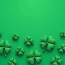 행운클로버 이미지