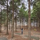 더글라스페이스샵 | 더글라스하우스 자세한 후기 (라운지, 산책길, 라이트 스낵, 더글라스아워, 조식, 부대시설)