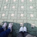 웃는내일약국 이미지