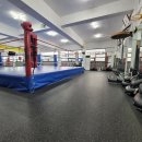 다사복싱체육관 이미지