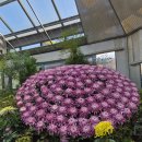 센텀린의원 이미지