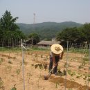 삼죽농장 이미지