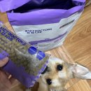 (주)닥터스랩