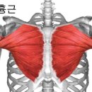 머슬엑스짐 네이버블로그